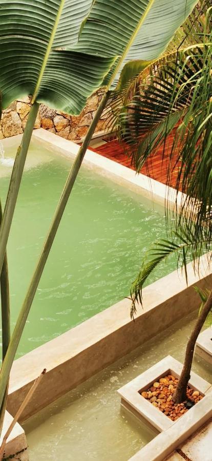 Hotel Casa Bamboo バリャドリッド エクステリア 写真